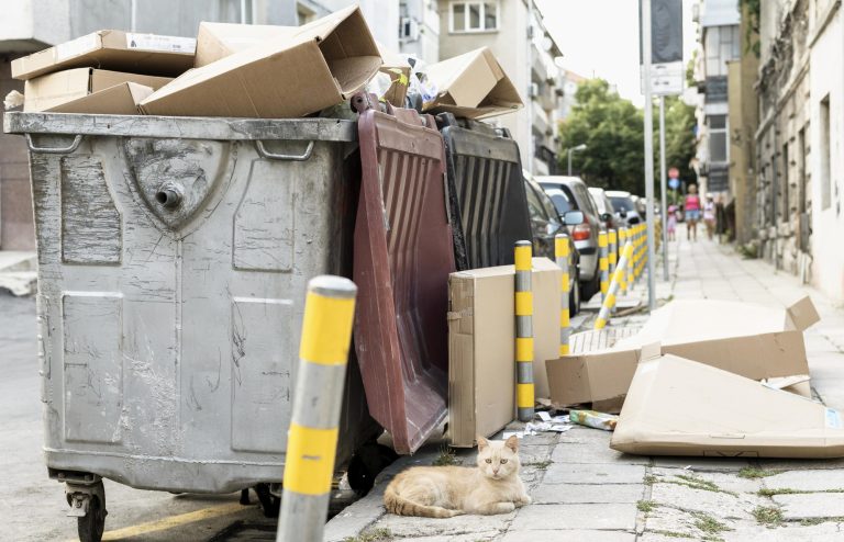 Revolutionizing Waste Management: Why GoGo Stik Leads with Heavy Duty Trash Bags and Dog Duty Bags